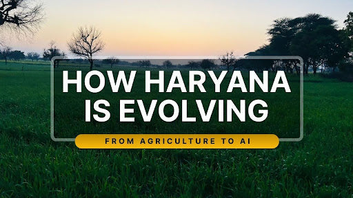 Agriculture to AI