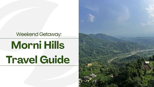 Morni Hills Travel Guide